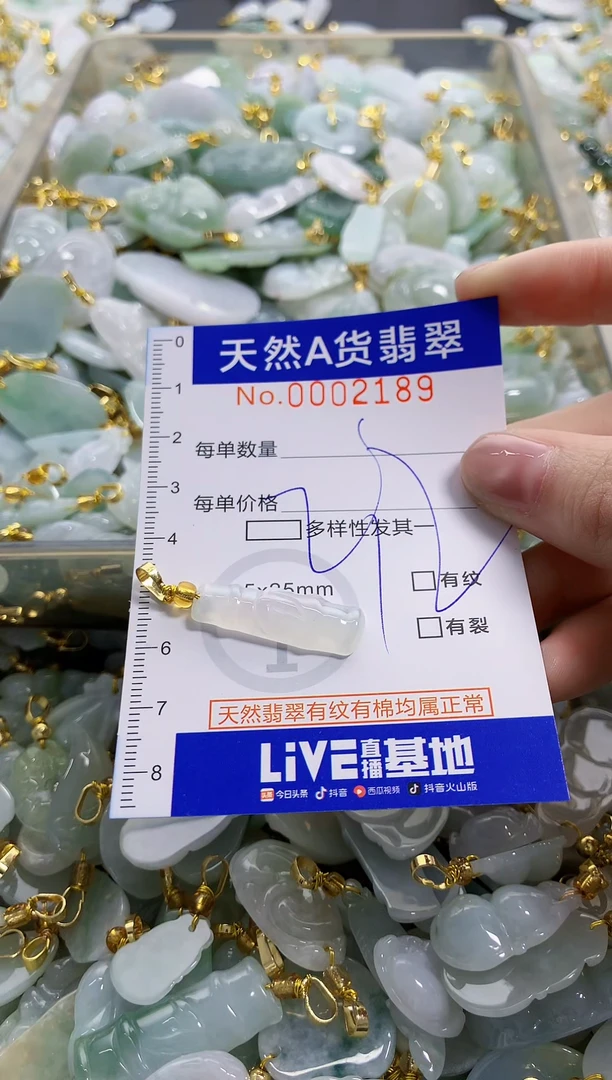 颈饰未镶嵌翡翠纯天然a货翡翠