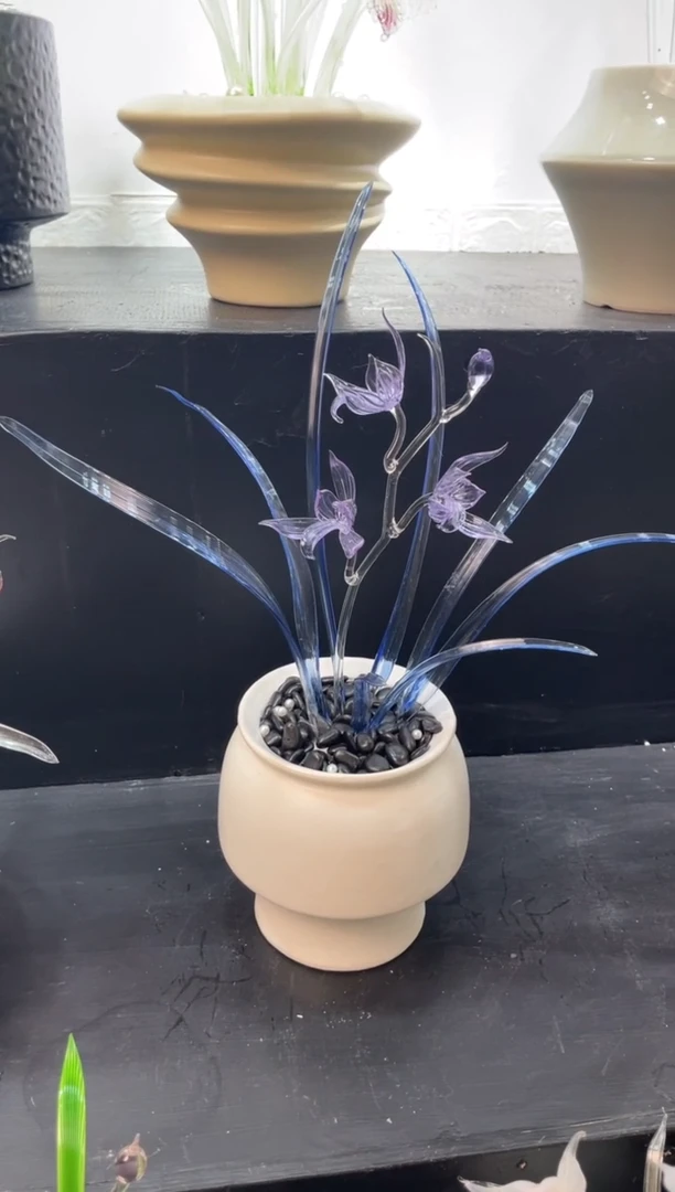琉璃27兰花