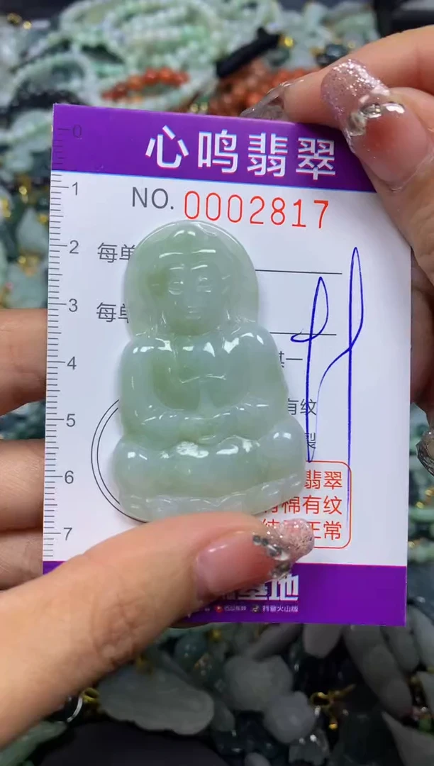【闪购商品】翡翠颈饰未镶嵌闪购002817