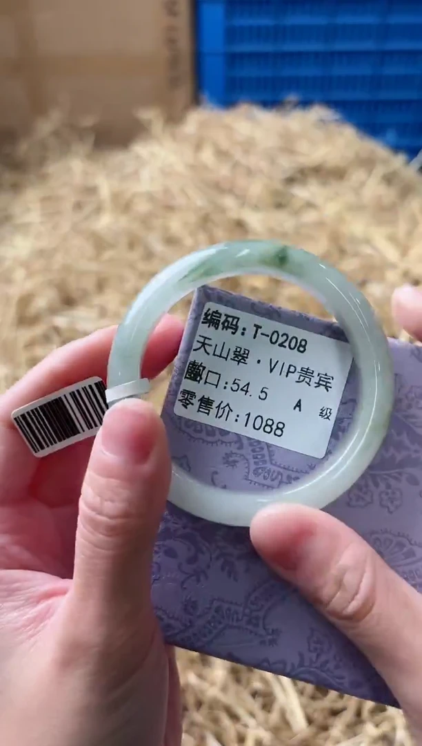 未镶嵌手镯和田玉T-0208