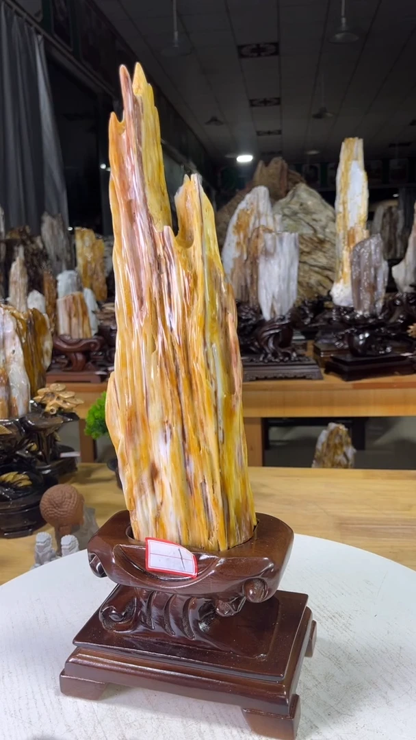 合金珠宝奇石硅化玉580