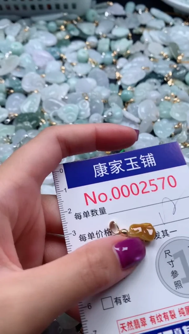 颈饰未镶嵌翡翠2570