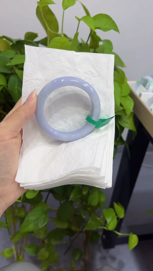 未镶嵌手镯翡翠0000019