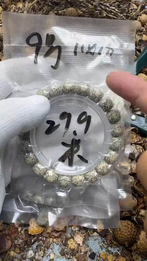 星月菩提手串青稞手作9号单圈