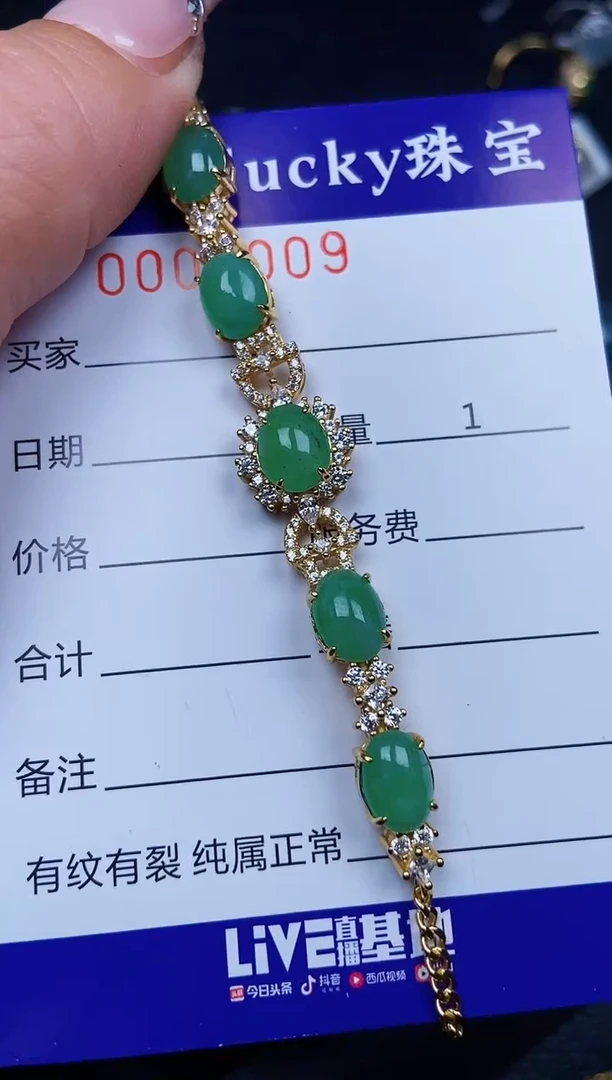 翡翠银S925镶嵌颈饰2009