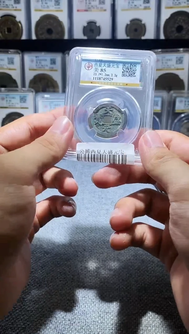 铜A204龙公博西夏天盛元宝85分5529