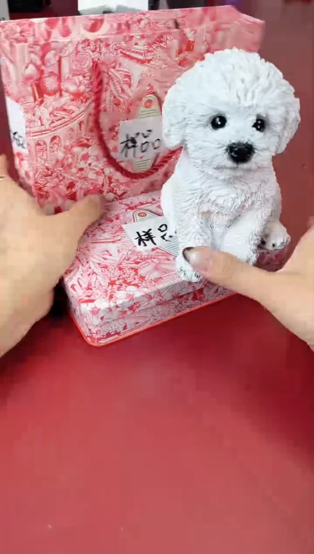 瓷片别算了真划算@@XQ2228
