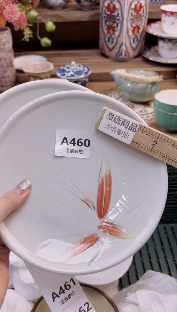 瓷片兰*       460