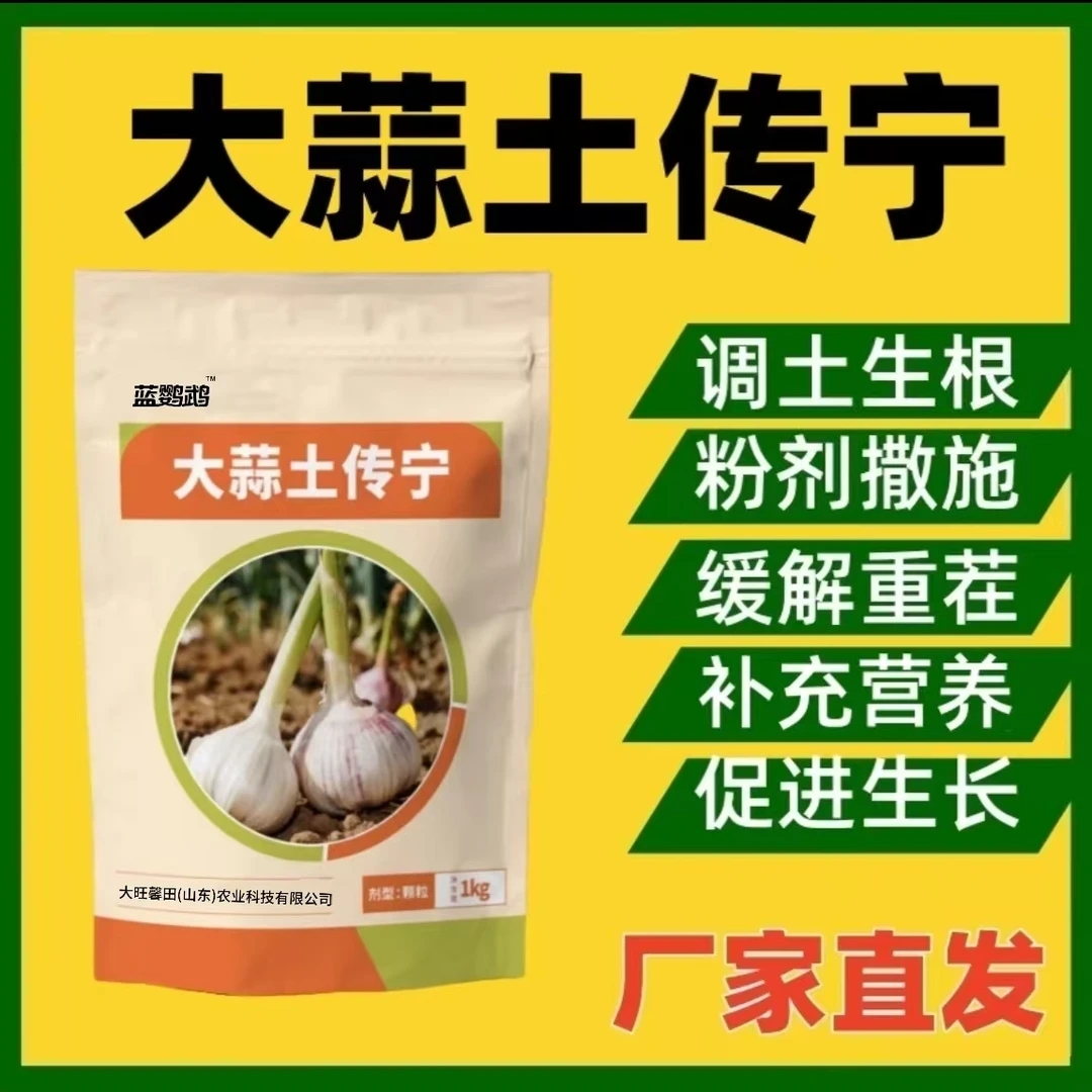 大蒜土传宁大蒜种植因生根壮苗艾调理土壤提质氏增产中量元素肥