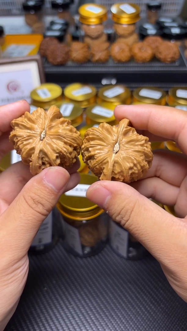 文玩核桃把件181白狮子45