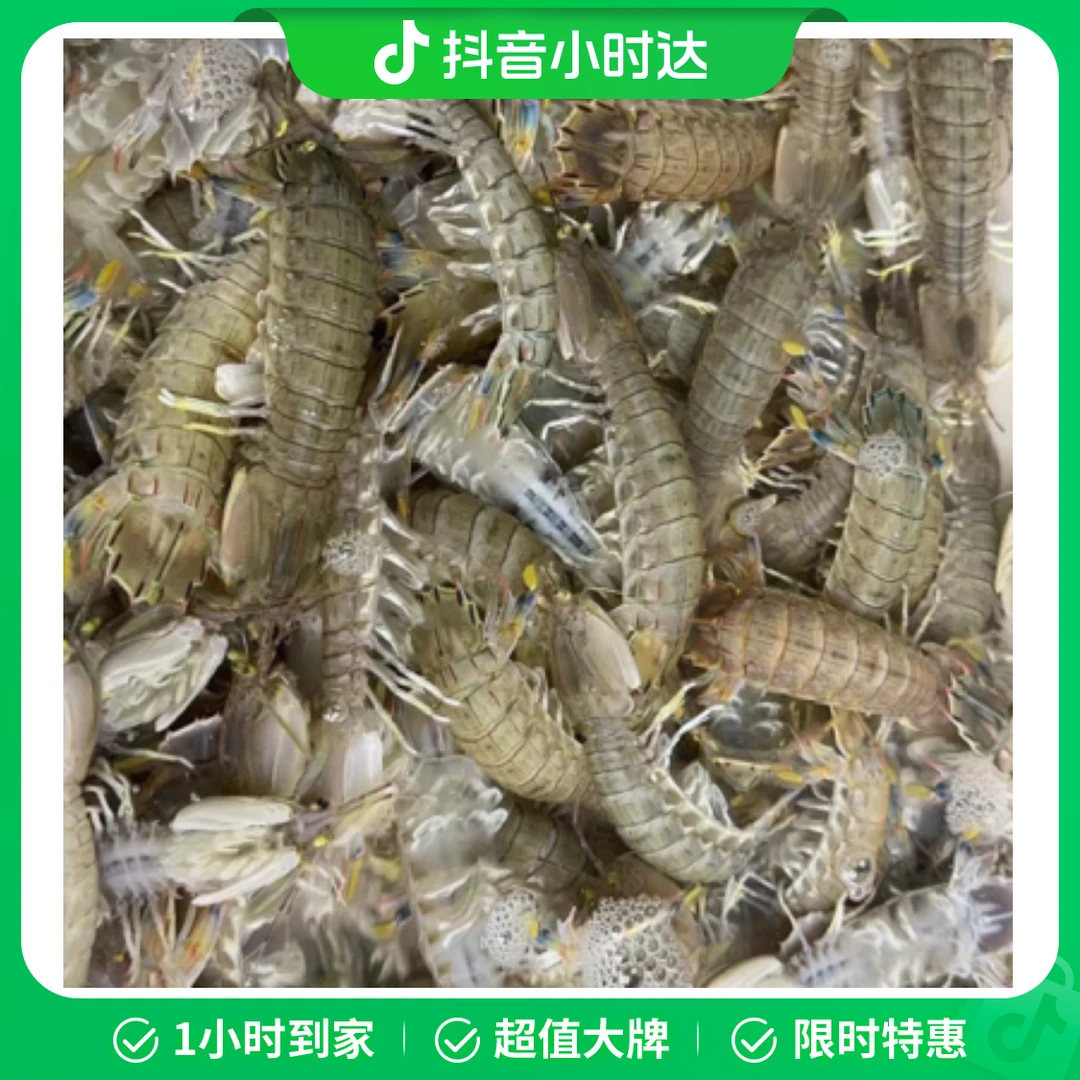 鲜活中号皮皮虾2斤 1斤大概30只左右。(运输过程可能缺氧，介意勿拍)