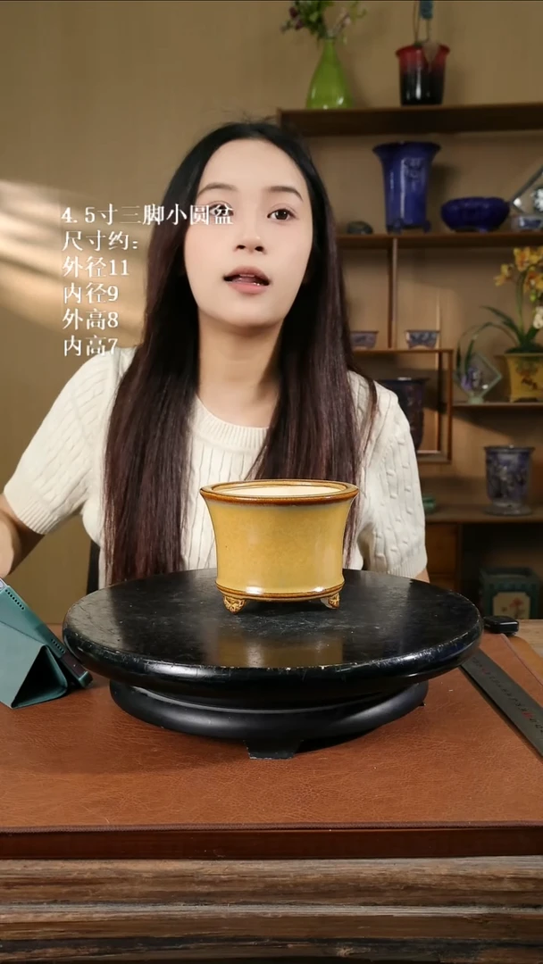 4.5寸三脚小圆盆秋叶黄 随机发货