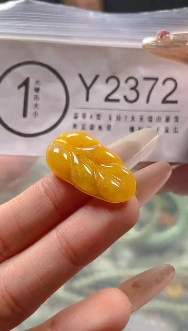 【闪购商品】翡翠颈饰未镶嵌/Y/翡翠A货一图一物