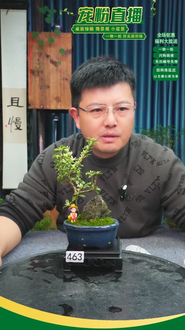 无花朵?****?苔藓微景观463号