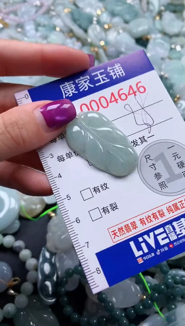颈饰未镶嵌翡翠4646