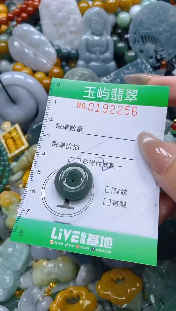翡翠未镶嵌颈饰闪购0192256多样性发其一