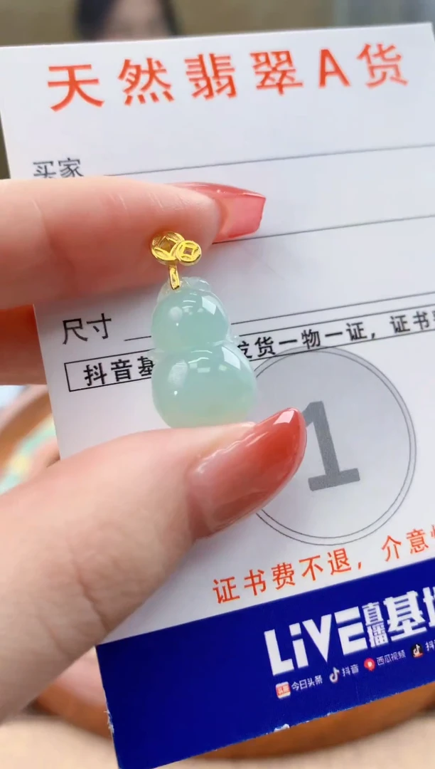 颈饰未镶嵌翡翠天然A货翡翠挂件