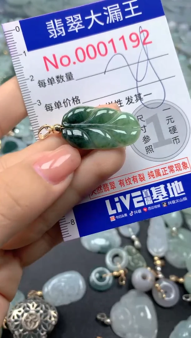 颈饰未镶嵌翡翠1192