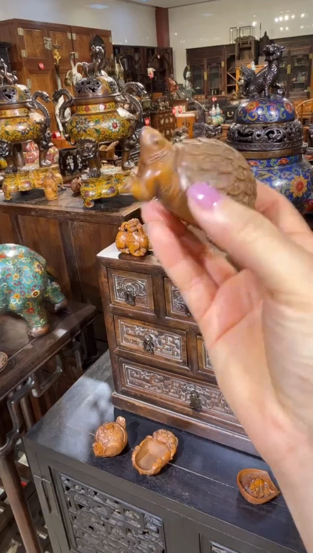 木黄杨木金钱龟68.8888888888888888888