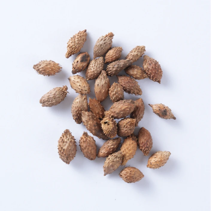 国强炒苍耳子 独立包装小袋装