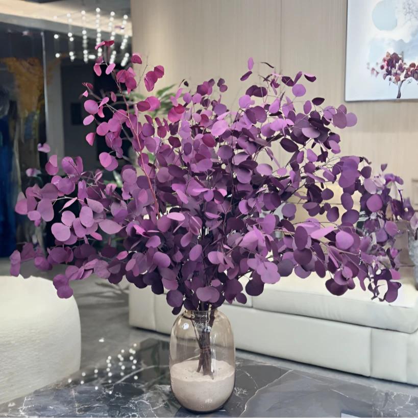 【永生尤加利叶】高级尤加利水培花期长可做干花