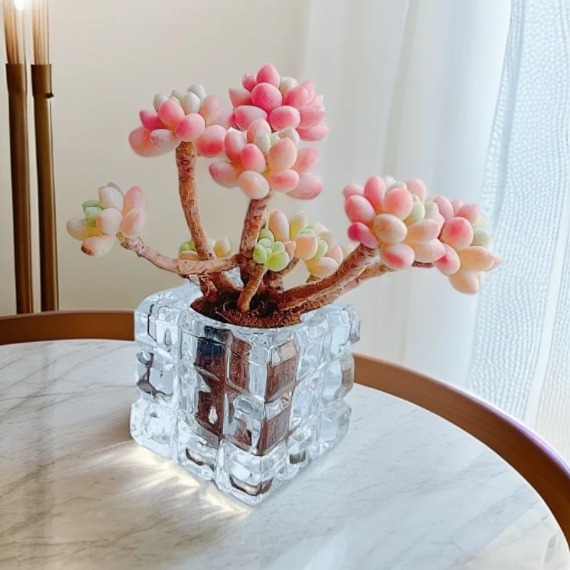 无土粉气球1颗(含白水晶花器
