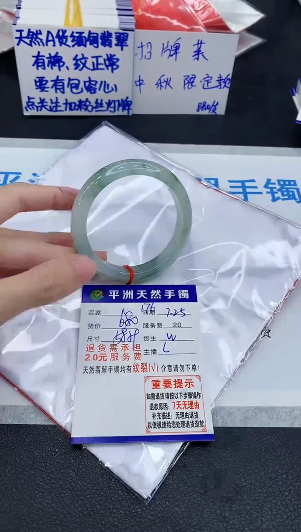 未镶嵌手镯翡翠1
