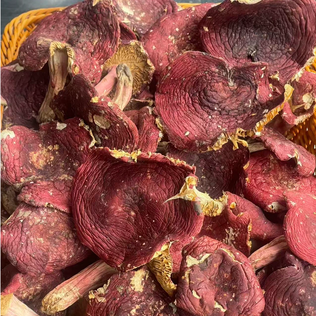 【郑书记助农】开伞大片野生红菇月子菇煲汤天然爽口烹饪清香