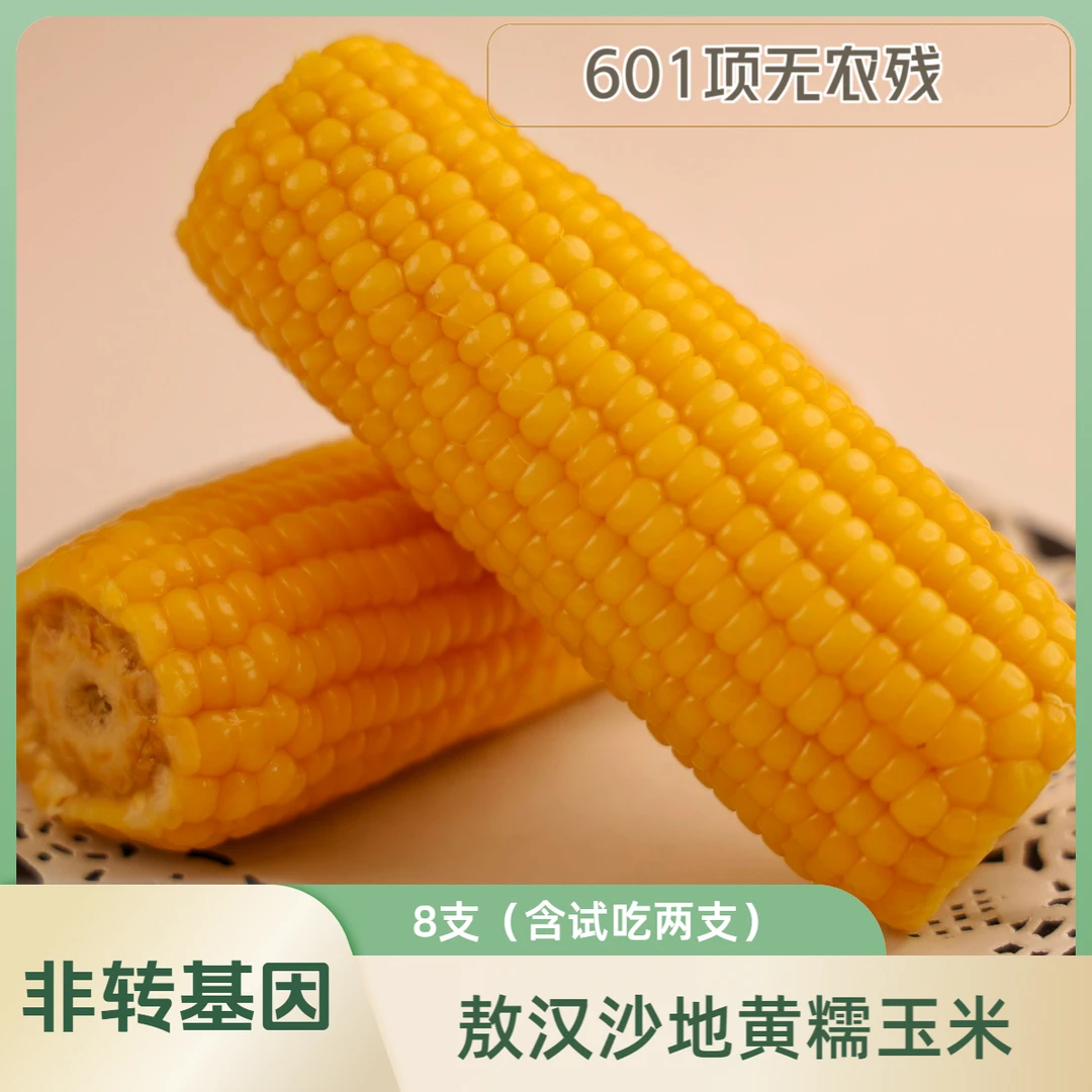 <勇哥专属 >美蒙草原敖汉沙地香糯玉米非转基因0添加0防腐220*8穗