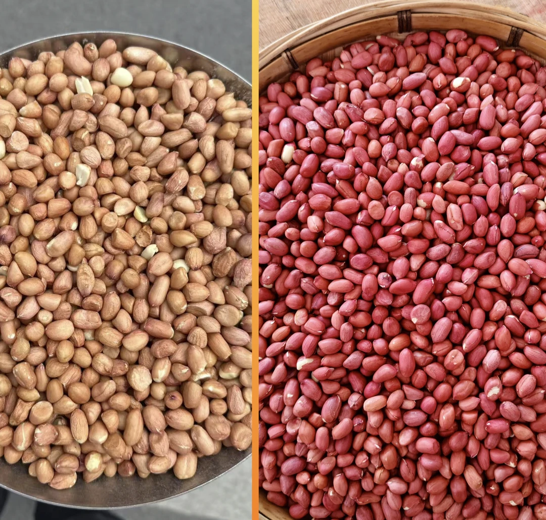 （新亮新农人）湖南湘西乡村自产自销花生米