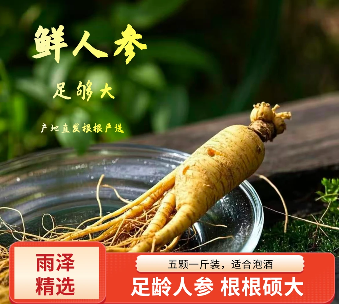 长白山新鲜人参特产单支70g 半斤装3-4支