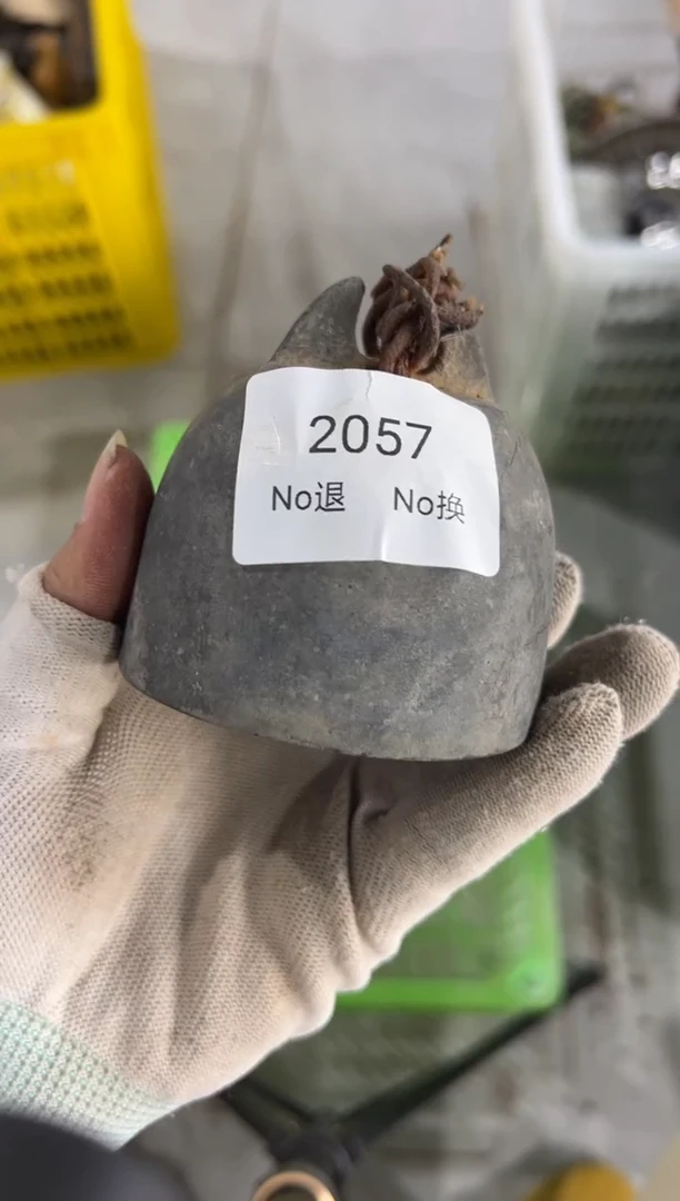 紫砂晏@****方55667788202506262057