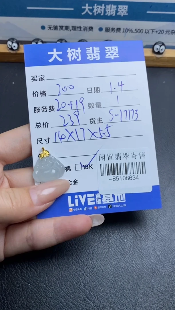 颈饰18K金镶嵌翡翠南****️-85108634