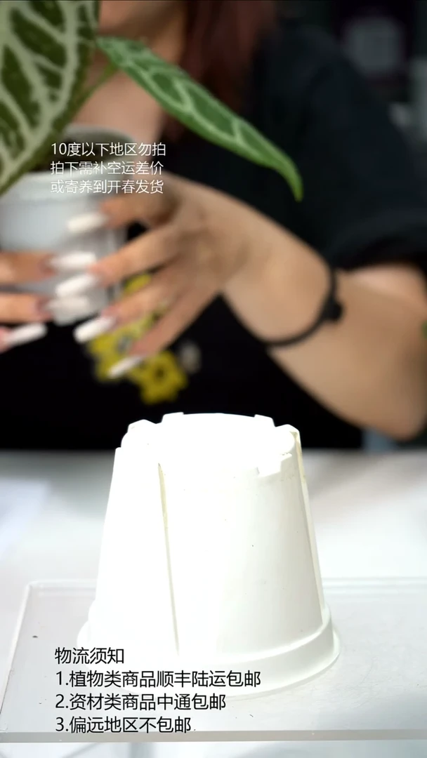 完全开放闪烁F1优选