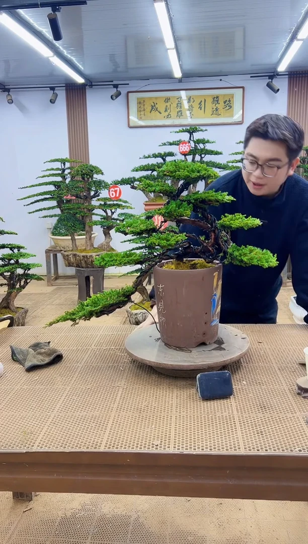 无花朵0000000000000000