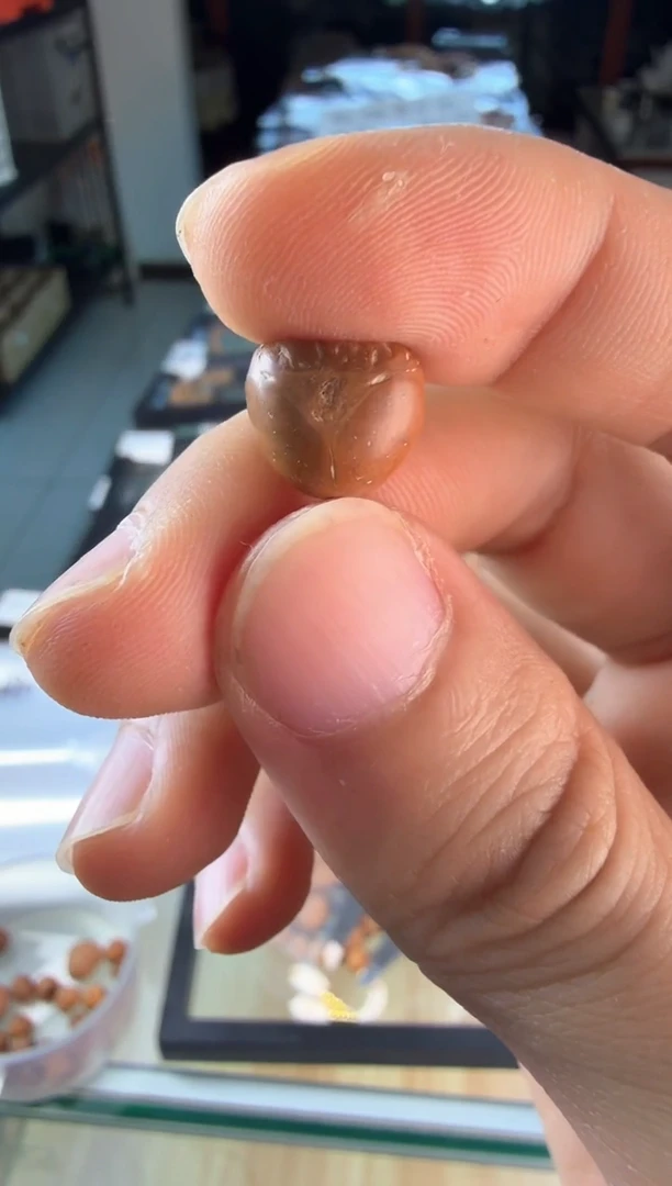 吊坠凤眼菩提3691