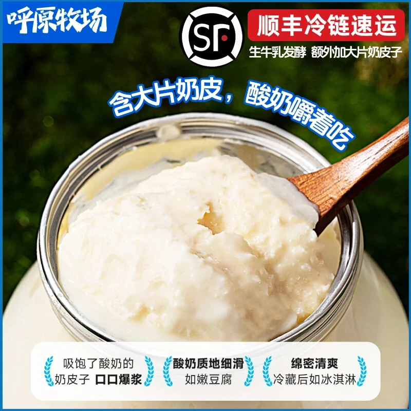 【顺丰冷链包邮】呼原牧场内蒙特产奶皮子酸奶500g*2桶正宗香滑味浓
