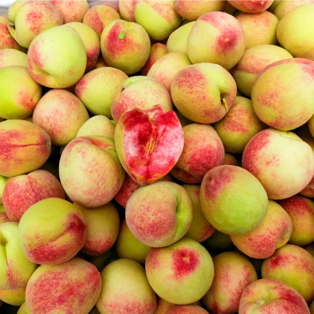 贵州高山老树百花桃新鲜毛桃老品种桃子脆甜多汁时令水果