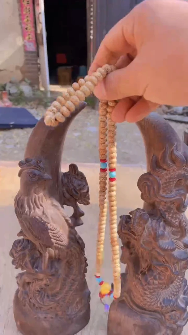 【闪购商品】菩提根/象牙果吊坠精品好物  好物菩提