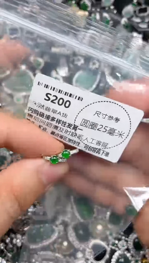 颈饰未镶嵌翡翠S200耳扣