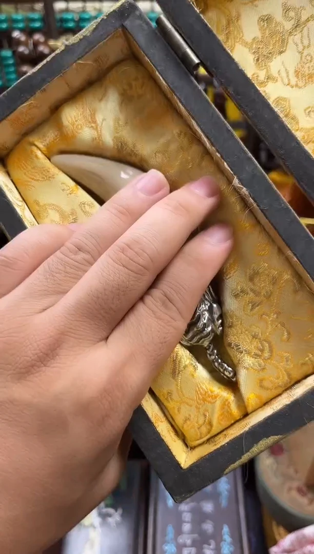 一一一一一一大脑