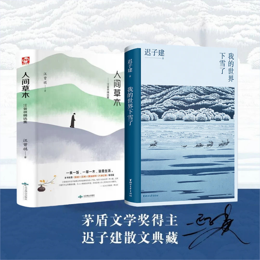 我的世界下雪了+人间草木（茅盾文学奖迟子建散文系列）拾生活之暖