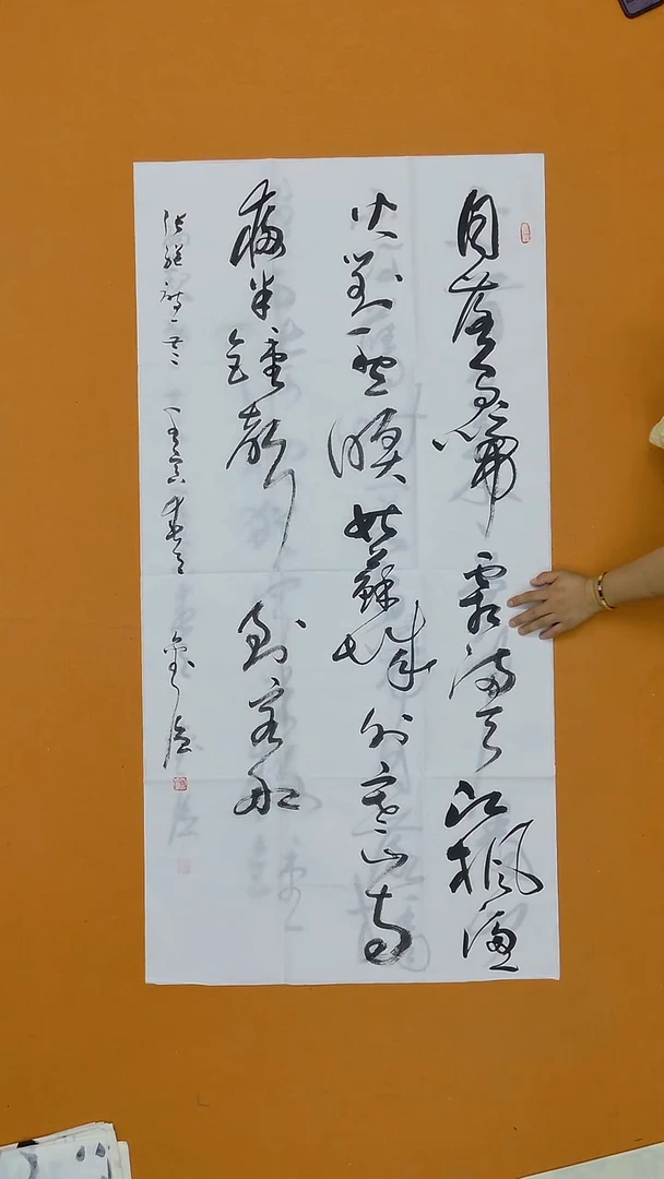 书法刘强   海南副主  138*68cm 8平尺
