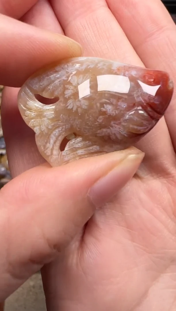 硅化珊瑚（珊瑚玉）未镶嵌颈饰775