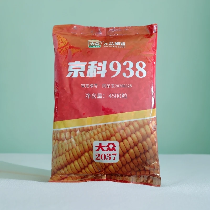 高产抗倒伏玉米种子耐高温耐旱高产包谷种子京科938 高产玉米种子