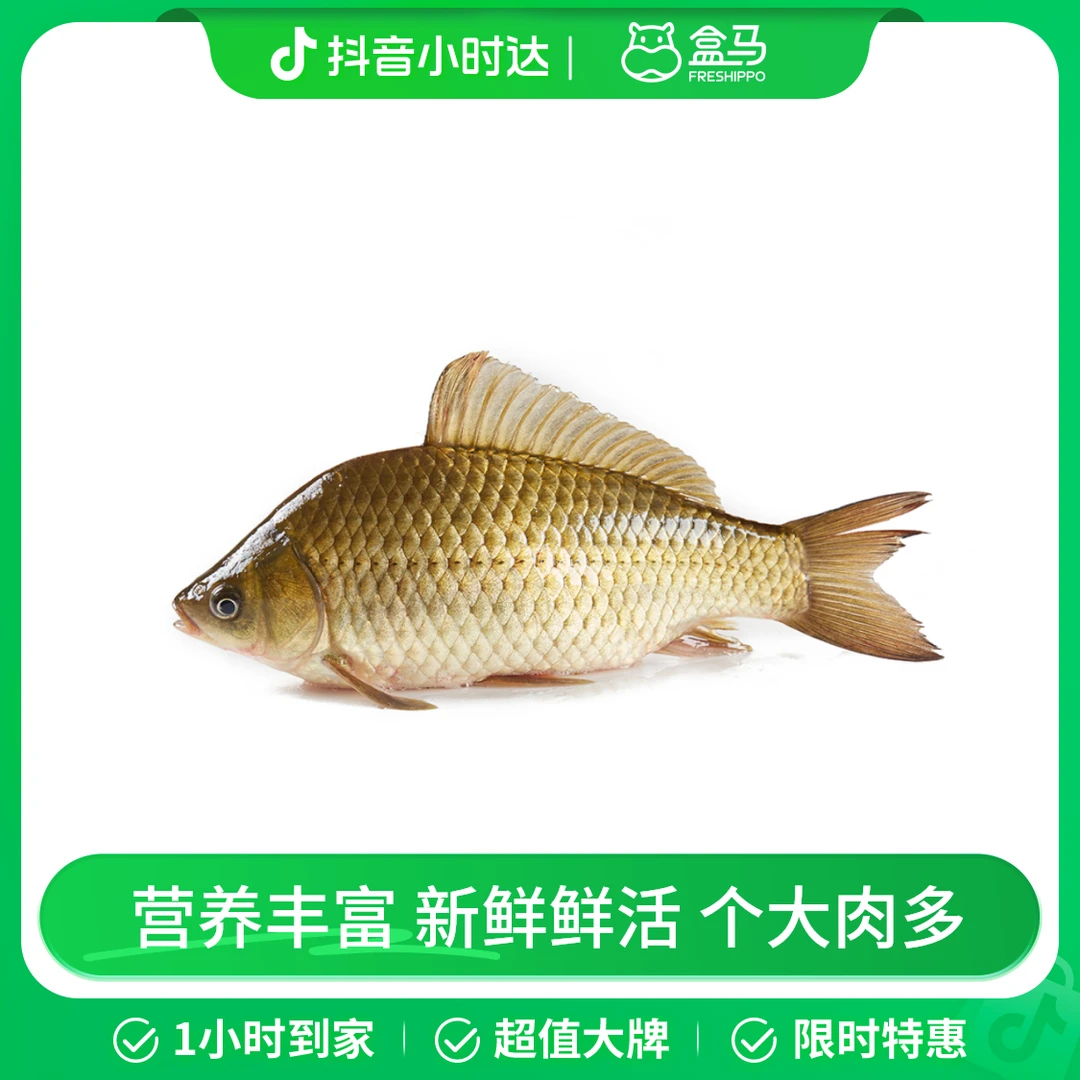 鲜活 鲫鱼 300-400g/条