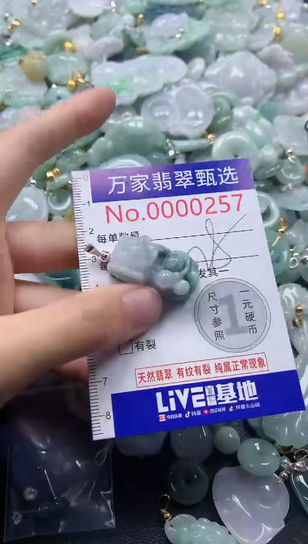 吊坠(不含链)未镶嵌翡翠0257