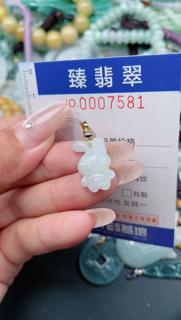 翡翠未镶嵌颈饰.0007581