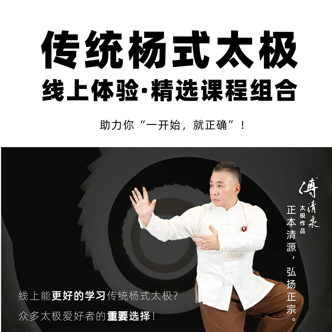 [太极陪练系列] 5天陪练，学嫡传传统杨式太极