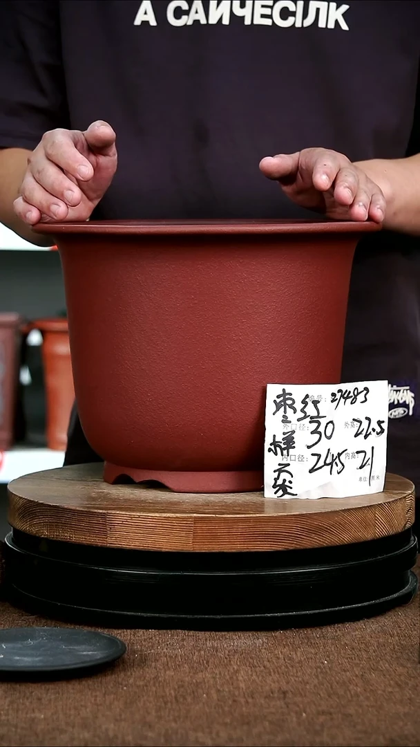 紫砂花盆花卉园艺27483